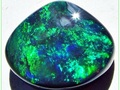 Opal pełen głębokich szmaragdowych cieni z odcieniami niebieskiego i złotego. Fot. Opals-On-Black.com, źródło: https://www.flickr.com, dostęp: 18.11.14.
